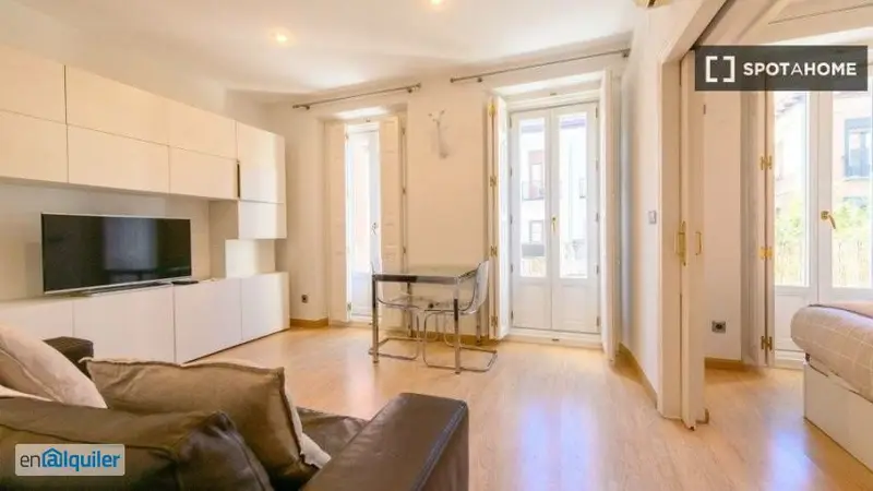 Apartamento Amueblado 1 Dormitorio Madrid Centro