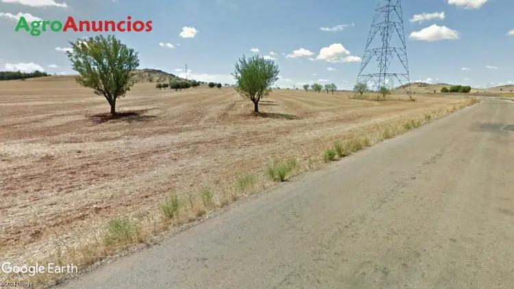 Venta de Suelo Rústico en Ciudad Real: Ideal para Vivienda, Agricultura y Fotovoltaica