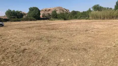 Finca rústica en venta en Camino de San Antonio