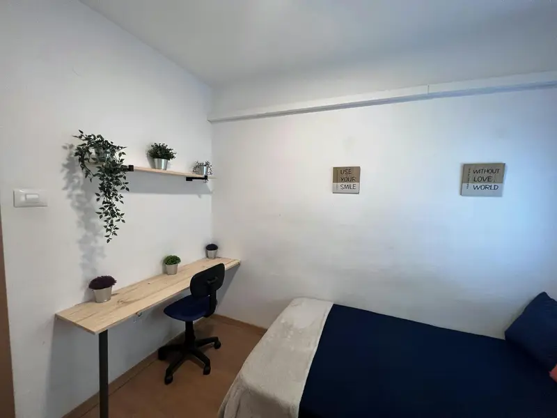 Habitacion Estudiantes UPCT UCAM Cartagena