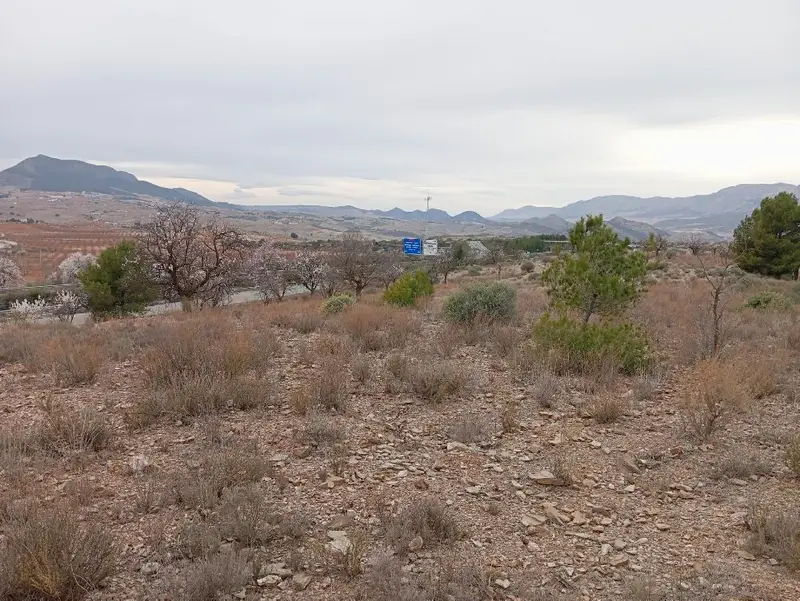 Venta Terreno 397000m2 Autovia A7 Velez Rubio