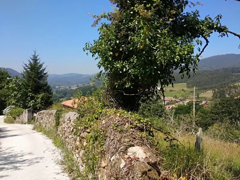 venta Terreno en Pravia, Asturias (28AC4)- Globaliza