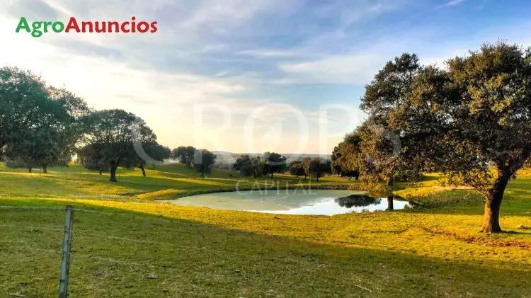 Venta  de Finca de recreo en Cáceres