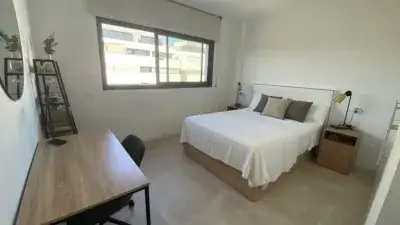 Alquiler Piso Torremolinos 2 Dormitorios 2 Baños Terraza Parking Trasteros