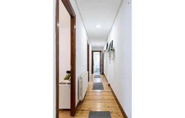 Alquiler Apartamento 5 Dormitorios Bilbao Estudiantes Trabajadores