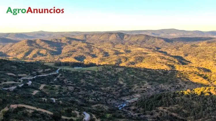 Venta  de Finca de caza con casa en Córdoba