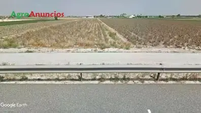 Venta  de Finca de regadío, opción caseta aperos en Alicante