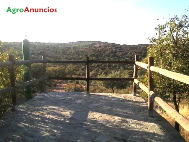 Venta  de Finca de recreo en Córdoba