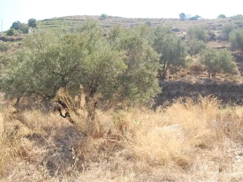 Terreno en Venta en Competa Malaga con Vistas al Mar
