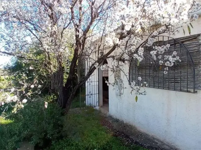 Cortijo en Mojacar para Reformar con Terreno Agricola