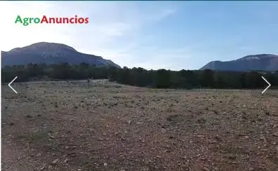 Venta  de Finca de labor y monte, para recreo en Murcia