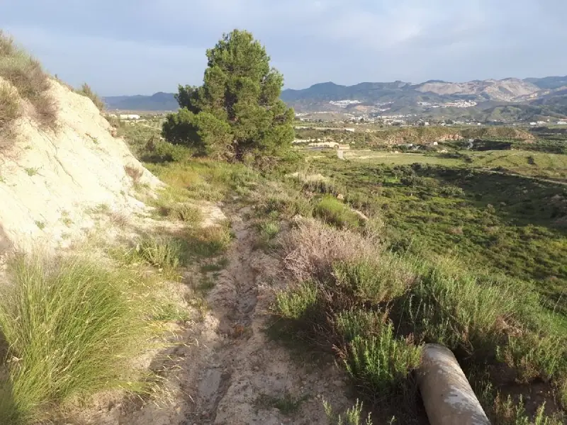 Venta Cortijo Urracal 8177m2 Terreno 166m2 Construidos