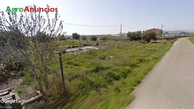 Venta  de Finca de regadío en Murcia