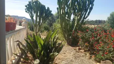 Finca Rustica en Venta Valle del Guadalhorce
