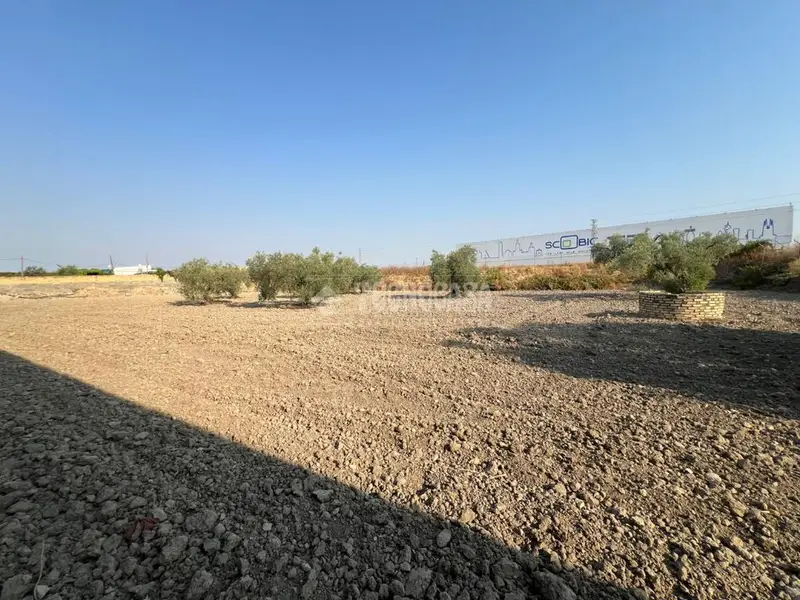 Terrenos en venta en Utrera