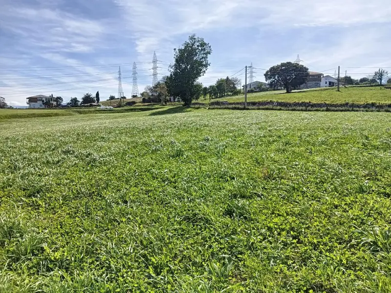 Venta Terreno Rustico Sobarzo Multiples Posibilidades