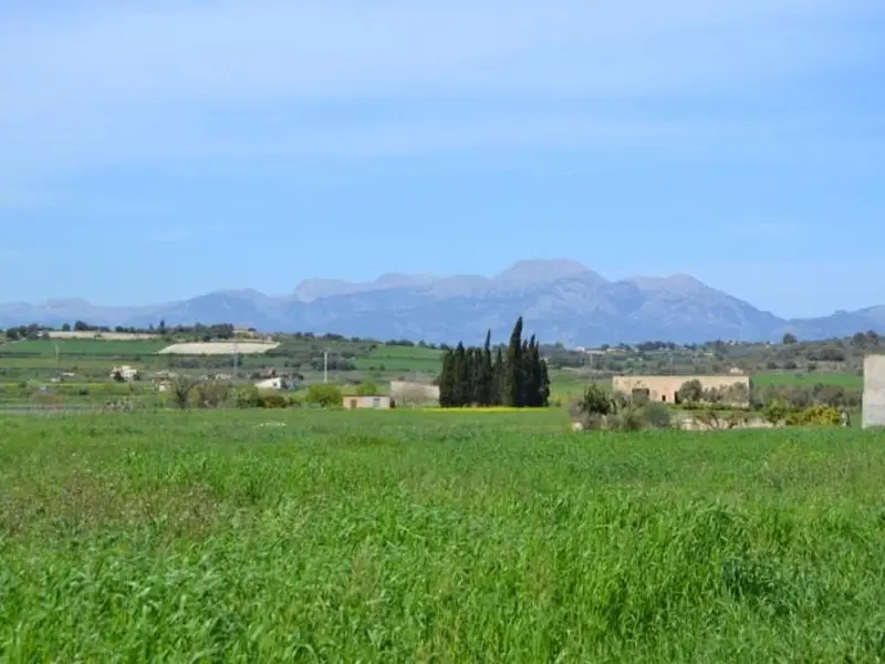 venta Terreno en Santa Margalida, Balears (Illes) (HUD-charme00437)- Globaliza