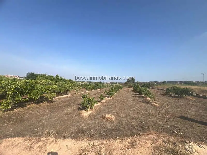 Parcela Rustica en Paterna con Naranjos 4159m2
