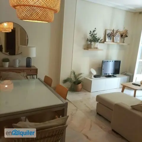 Alquiler Piso Amueblado Triana 90m2 3 Dormitorios 2 Baños