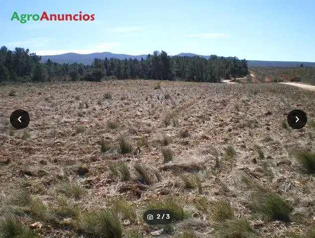 Venta  de Fincas rústicas en Valencia