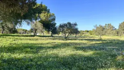 Finca rústica en venta en Villanueva de los Castillejos