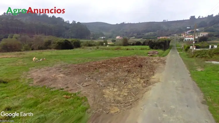 Venta  de Finca rústica para explotación agropecuaria en A Coruña