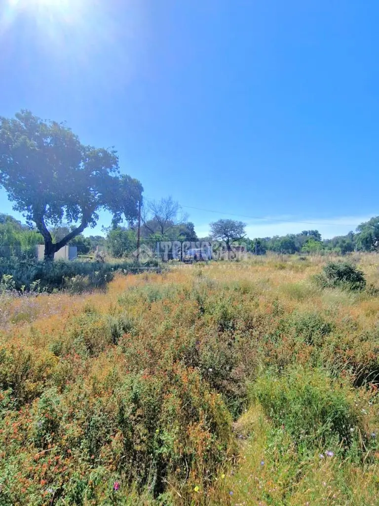 Terreno en Venta Botoa Badajoz 10072m2