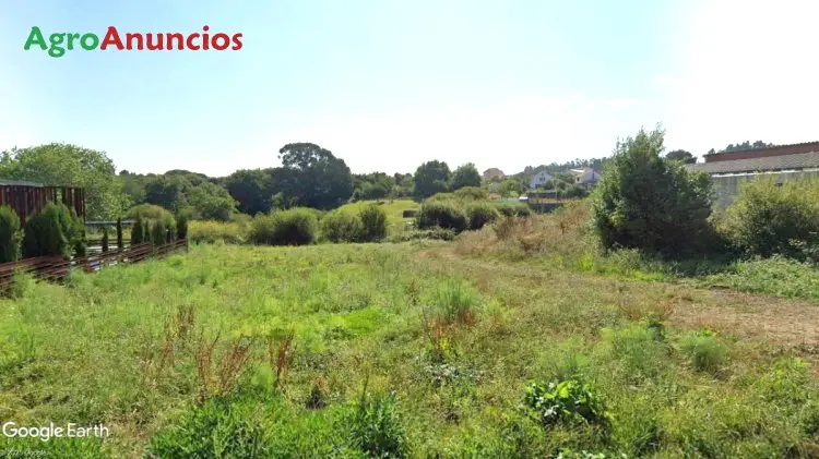 Finca Rustica en A Coruña para Vivienda Unifamiliar o Varios Chalets