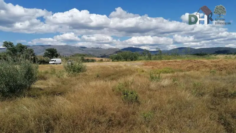Venta Finca Rustica Valverde del Fresno 47 hectareas