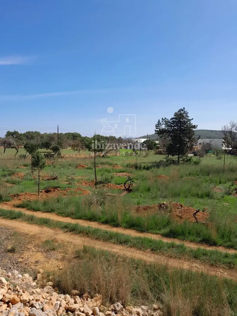 Parcela Rustica en Venta San Carlos Ibiza 15400m2