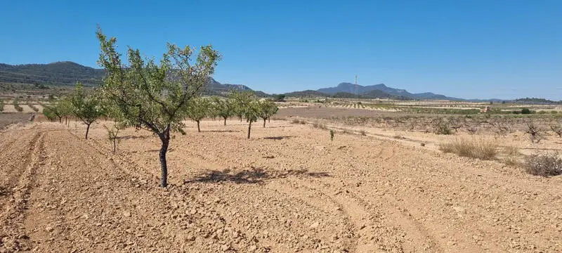 Terreno en Venta: 15469m2 con Vistas Panorámicas