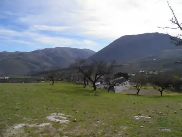 Casa Rural con Almendros en Granada