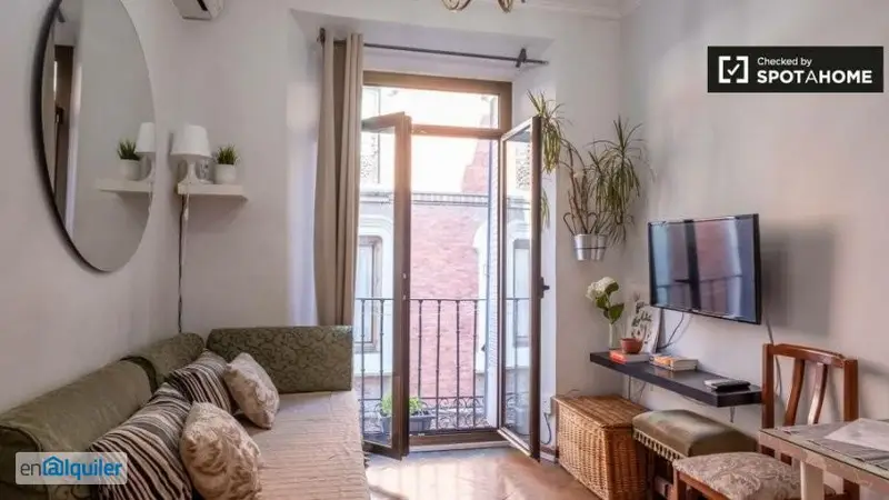 Apartamento 1 Dormitorio Alquiler Madrid Calle Ballesta