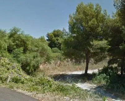 Venta Solar Benissa Los Almendros 9500m2 Comercial Residencial