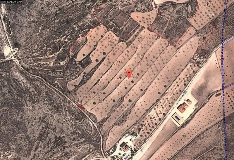 Parcela en Jumilla Murcia: Vistas Panoramicas y Alta Rentabilidad