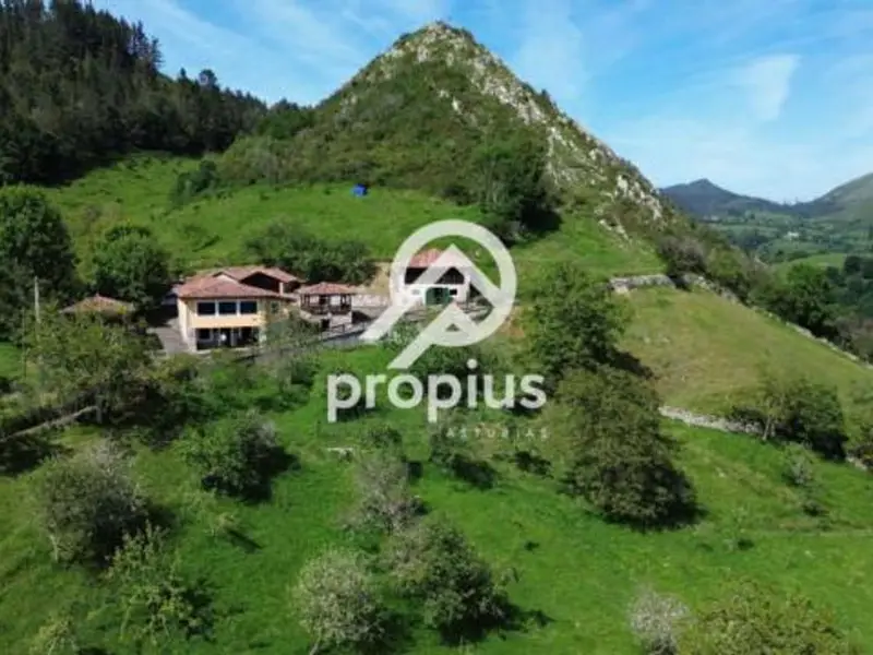 Chalet en Venta en Asturias con 20000m2 de Finca