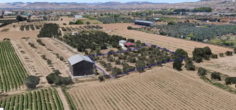 Venta Finca 4 Marjales Nueva Otura 48 Olivos