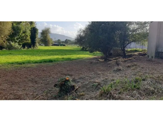 Suelo Industrial en Venta en Ontoria