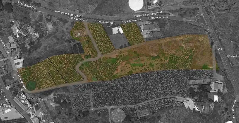 Venta Terreno Breña Baja La Palma 31000m2 Finca Rustica Edificable
