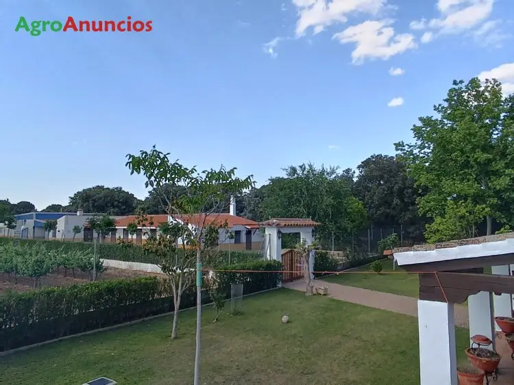 Venta  de Finca con casa y parras de cabernet souvignon en Albacete