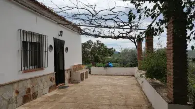 Finca rústica en venta en Álora