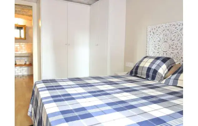 Alquiler Apartamento 1 Dormitorio 52m² Barcelona Barri Gòtic