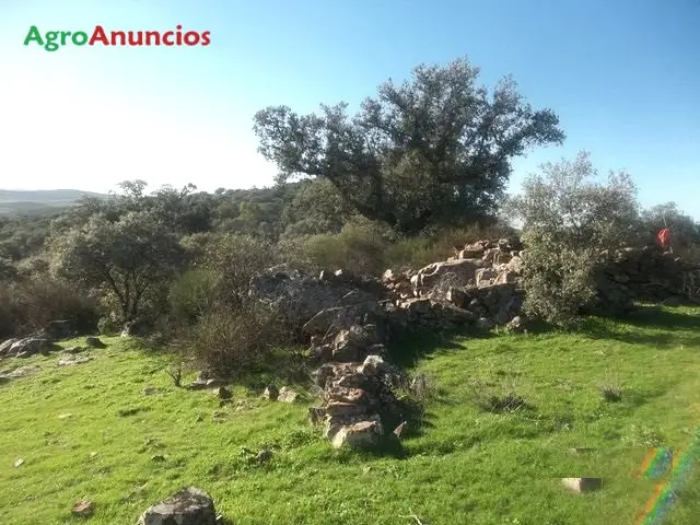 Venta  de Finca de recreo en Badajoz