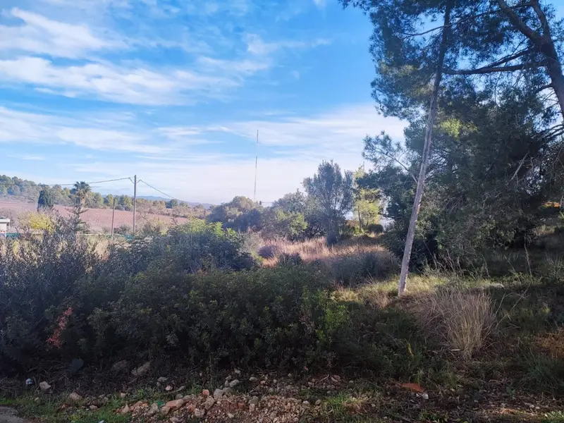 Venta Parcela Mas Tapet Vilanova i la Geltru