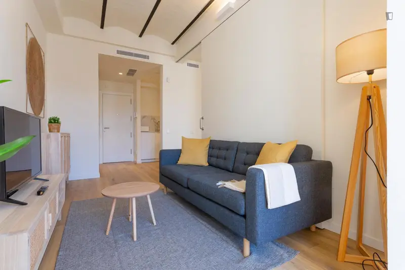 Apartamento 1 Dormitorio Estancias Temporales Barcelona