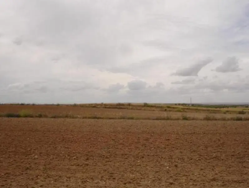 Venta Suelo Rustico Bargas 12624m2 Sector 2