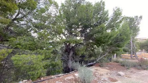Terreno en Venta Altea Hills Vistas al Mar