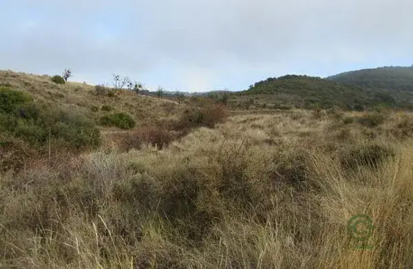 Parcela Rustica en Autol La Rioja 360m2