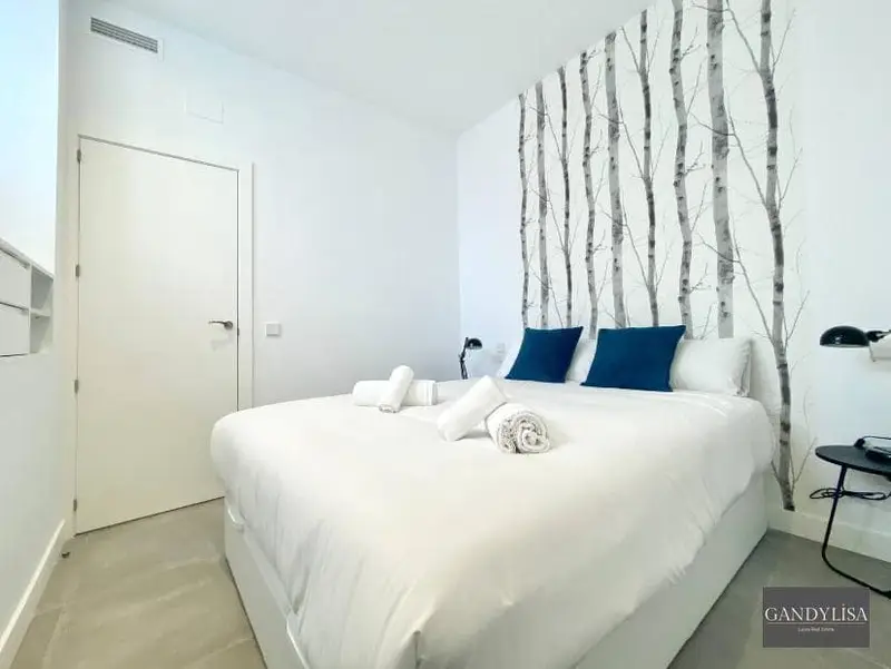 Apartamento La Latina Madrid Alta Rentabilidad Inversion Licencia Turistica