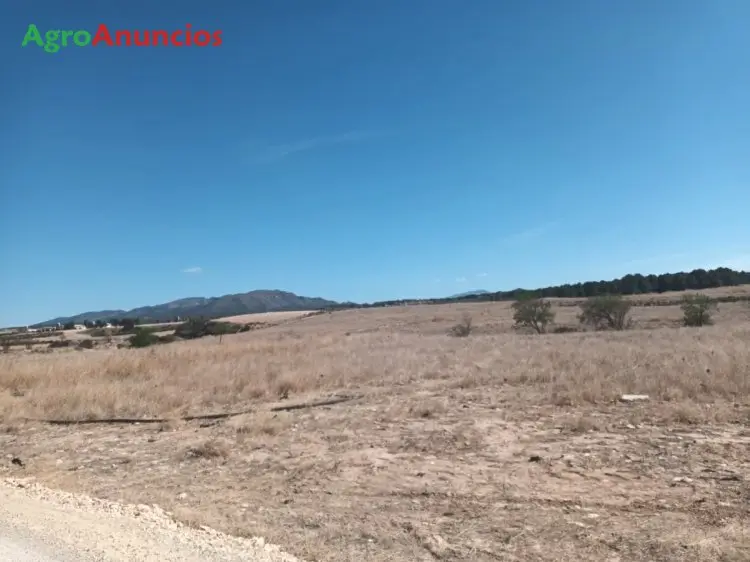 Venta  de Finca de regadío en Murcia